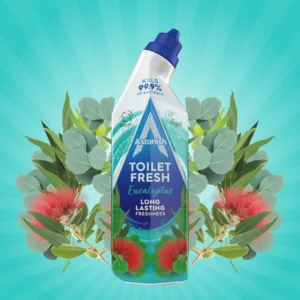 Astonish Toilet Fresh Gel Eucalyptus